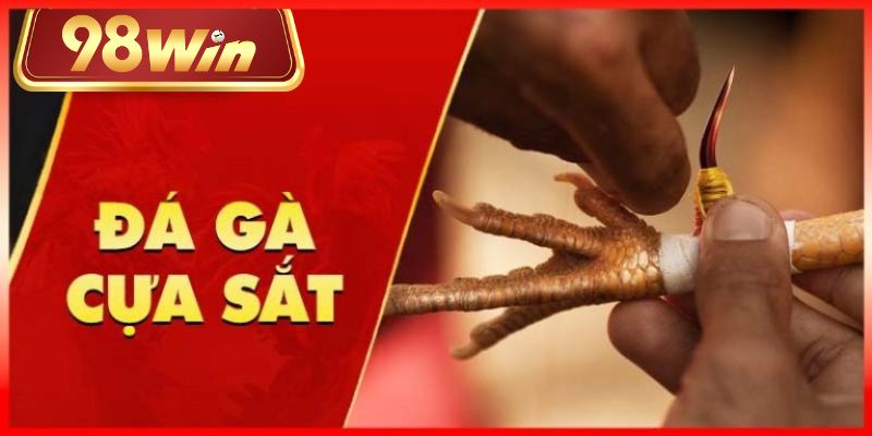 Đá gà cựa sắt là hình thức chơi hấp dẫn, thú vị bậc nhất hiện nay