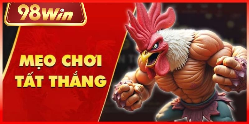Khi bắt kèo hãy tham khảo thông tin về các chiến kê